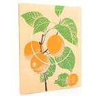 1500w 680034294653 Paula Deen Patterned