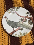 Pottery Barn Pheasant Ceramic Plate 9" Tree Branch Discontinued. Fixed Price $14.99.