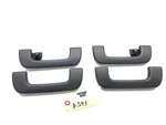 2019-2024 Audi SQ7 Front Rear Grab Grip Assist Roof Handle Set X4 Oem. Fixed Price $89.97.
