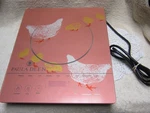 Paula Deen Induction Cooker. Fixed Price $40.99.