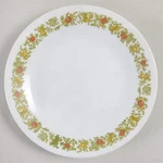 Corning Corelle Spice Of Life Bread & Butter Plate 89354. Fixed Price $29.99.