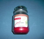 New Patriot Wick Jar Scented Just Picked 18 Oz. Fixed Price $16.99.