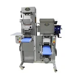 Arcobaleno AMF160 Floor Model Dough Mixer/sheeter/cutter & Ravioli Maker, 6-1.... Fixed Price $39375.00.