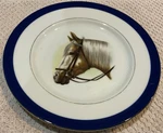 Palomino Horse Head Decorative Round Plate. Fixed Price $17.99.