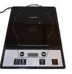 Berghoff Portable Induction Cooktop 2216760. Fixed Price $45.00.