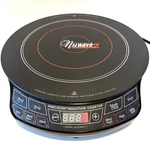 Precision Nuwave Induction Cooktop 2 Model 30151 Ar Portable Burner Tested Clean. Fixed Price $33.96.